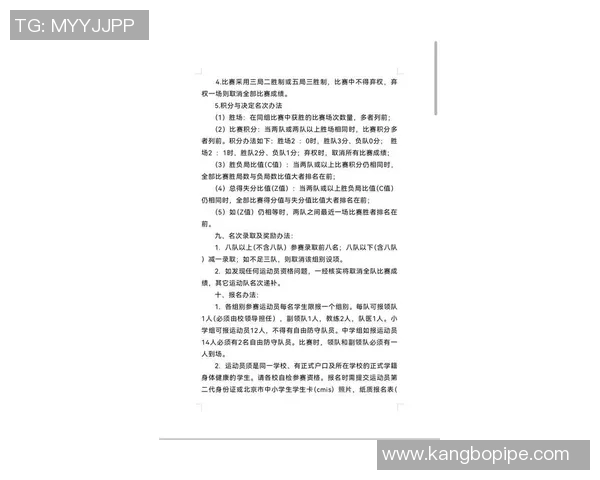 北京排球队在挑战赛中的经验与表现深度解析