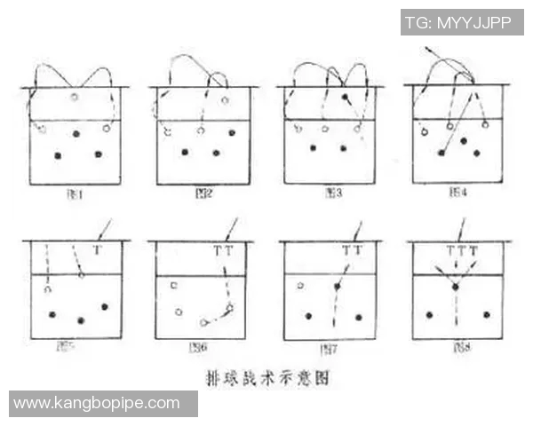 成都排球队中路突破的战术解析与训练秘籍分享 成都排球队中路突破的战术解析与训练秘籍分享