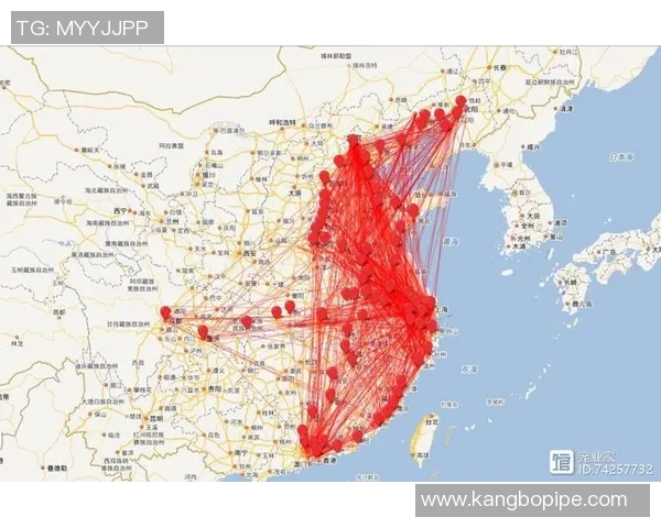 独家分析：武汉篮球队的配合对比