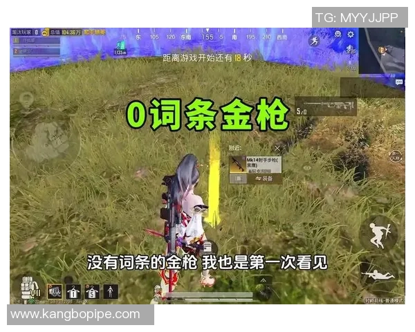 和平精英热点：解读LNG的整体压制