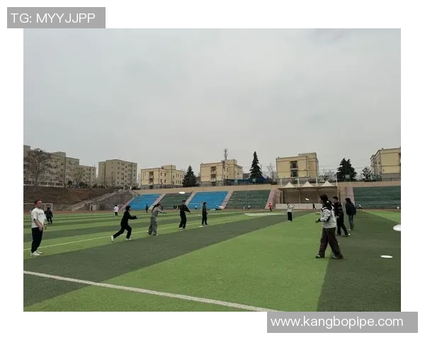 飞盘焦点：重庆飞盘队的战术探讨